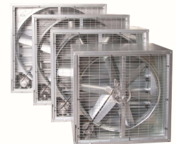 ��֪����ʲôؓ(f��)���L(f��ng)�C���a(ch��n)�������